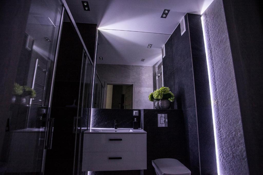 Kúpeľňa v ubytovaní Apartament w Cieplicach