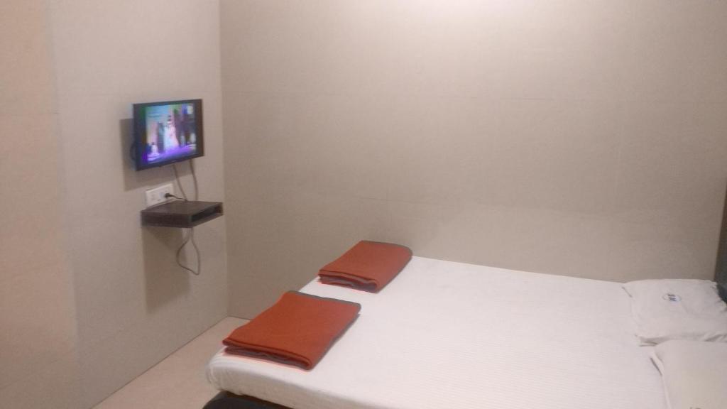 TV a/nebo společenská místnost v ubytování Hotel Sarada Nivas