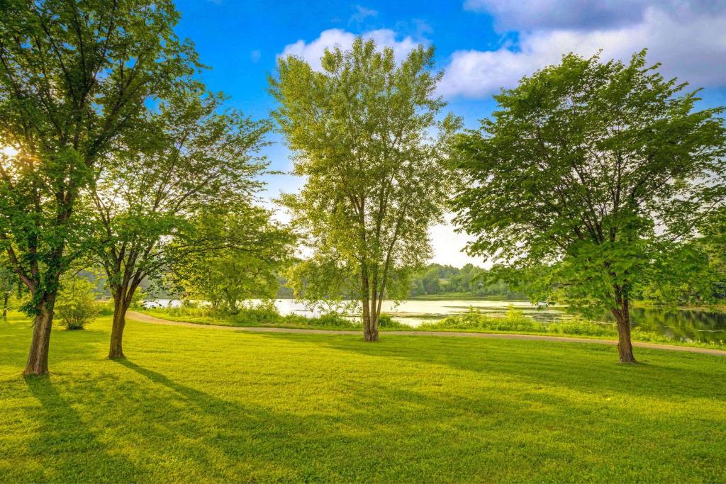 a group of trees in a grassy field at Super 8 by Wyndham Chaska in Chaska