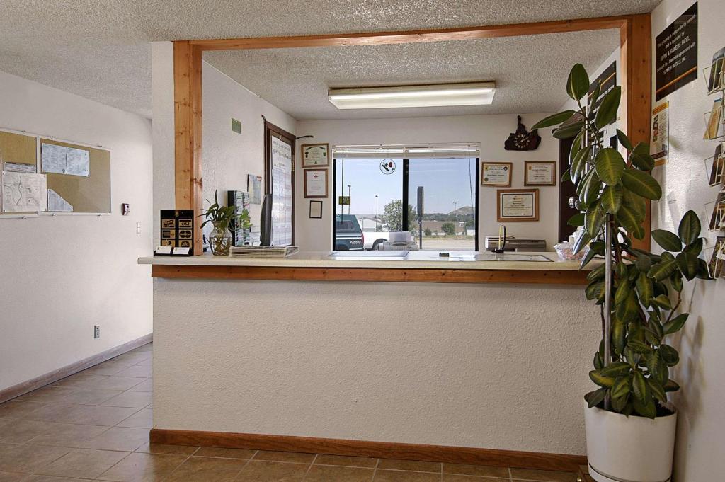 a kitchen with a counter with a potted plant at Super 8 by Wyndham Douglas in Douglas