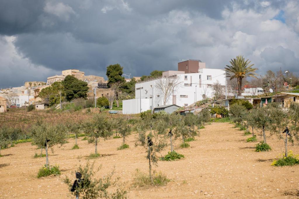 La Terrazza di Harmakhis