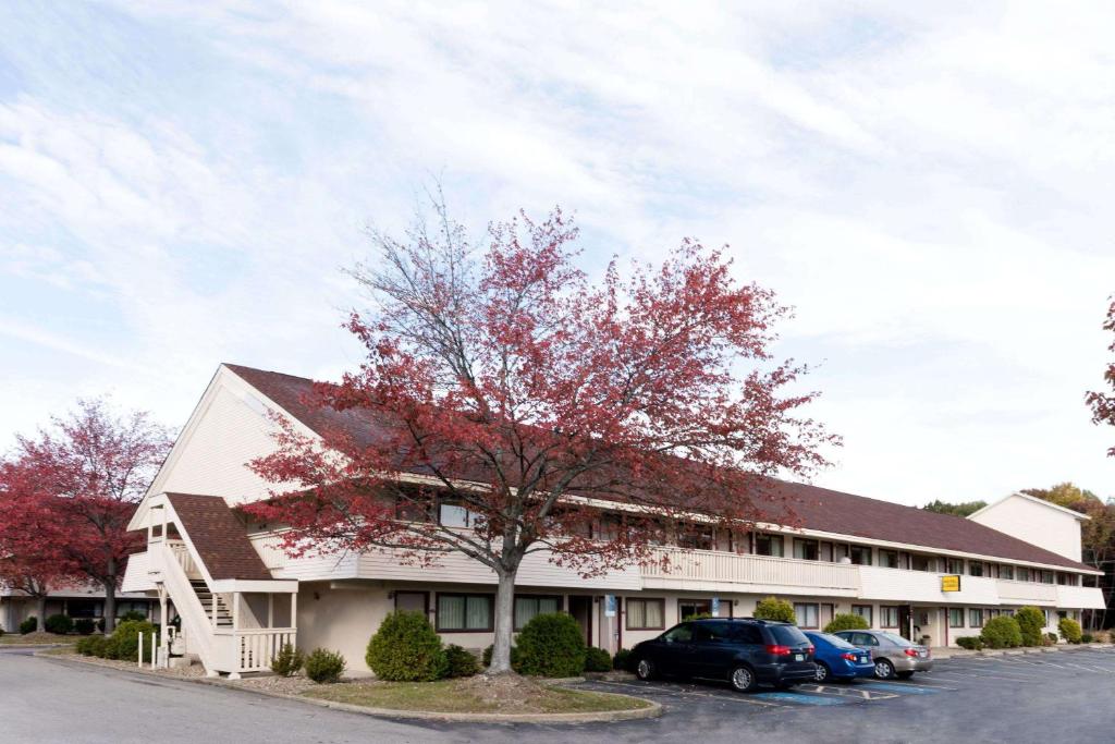 a building with a tree in front of a parking lot at Super 8 by Wyndham Strongsville/Cleveland in Strongsville