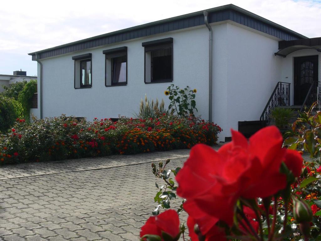una casa con flores rojas delante de ella en Charming Apartment in Rerik with Fenced Garden, en Rerik