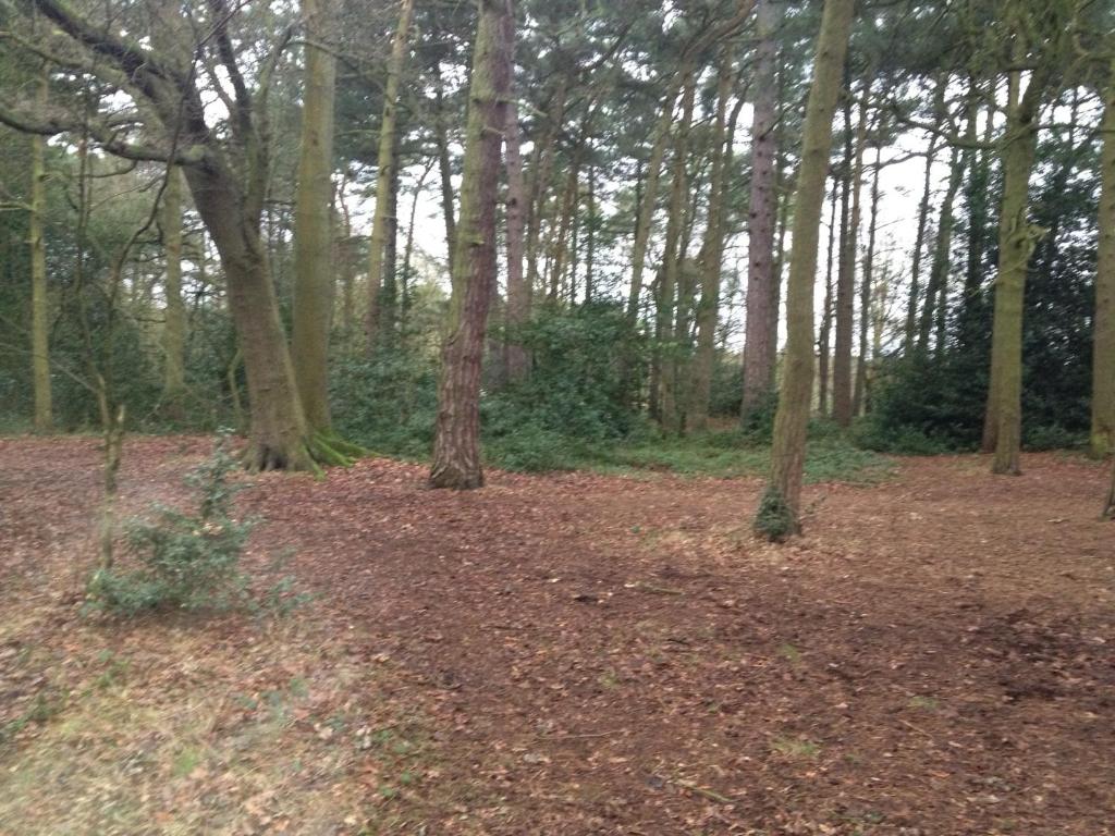 Gallery image of 2 The Rocklands in Birkenhead