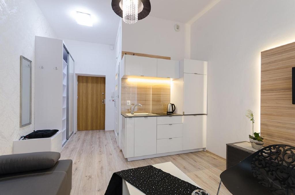 Kuchnia lub aneks kuchenny w obiekcie Venice Apartments/Old Town