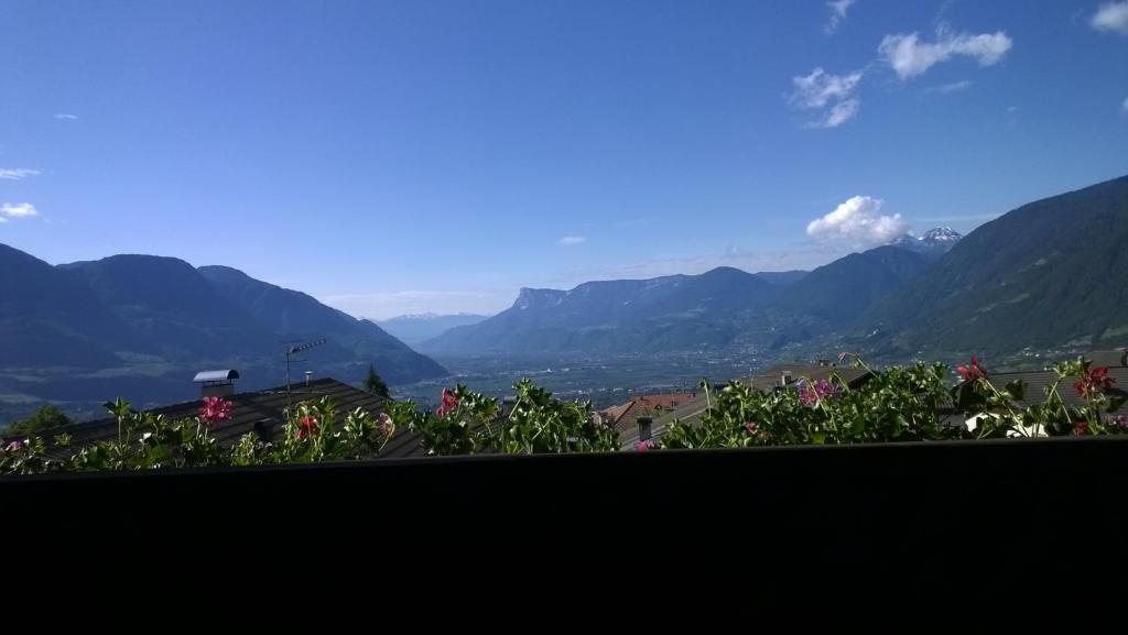 Příroda nedaleko hotelu