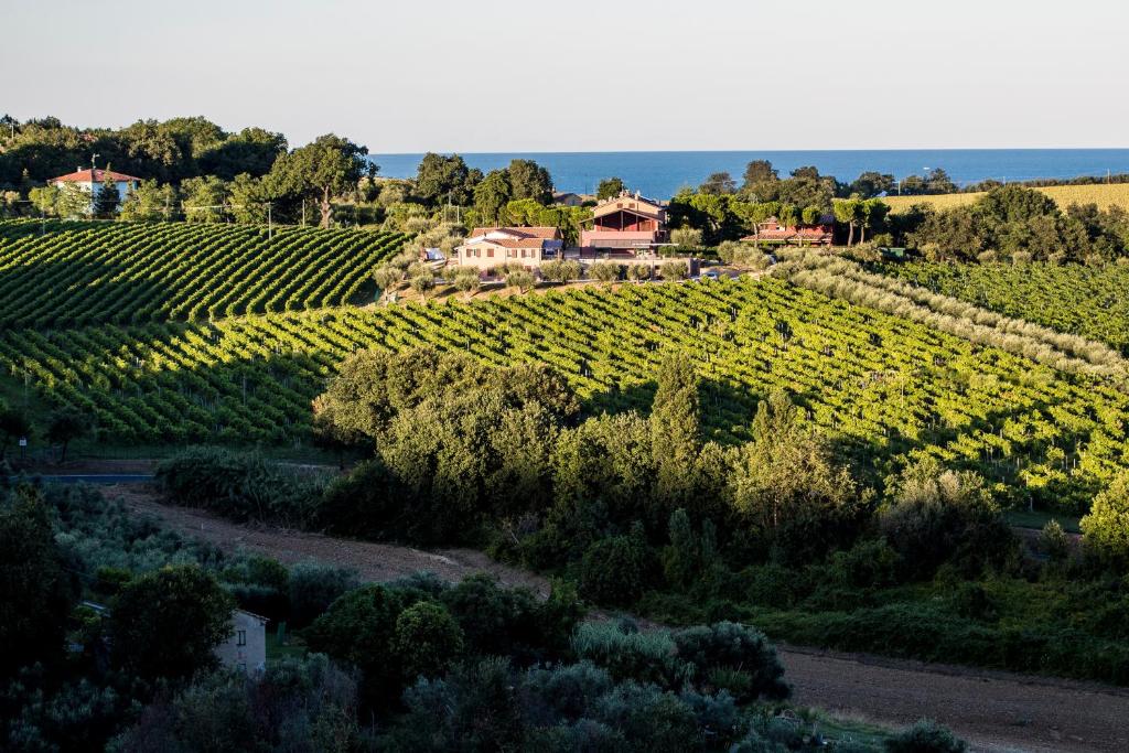 - une vue aride sur un vignoble avec une maison au loin dans l'établissement B&B - Uva Residence, à Fano