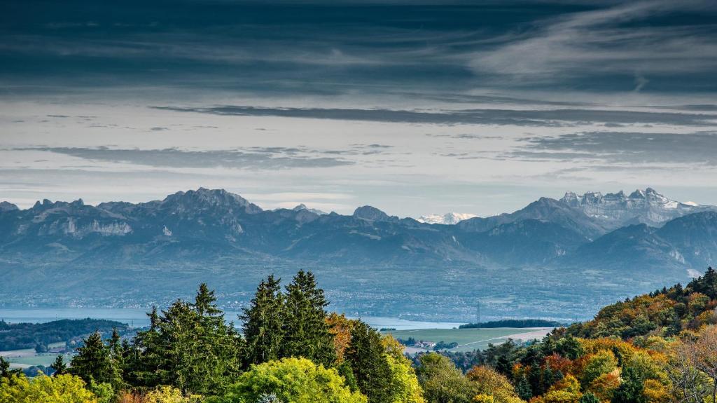 Blick auf eine Bergkette mit Bäumen und Bergen in der Unterkunft Auberge au Cavalier in Saint-George