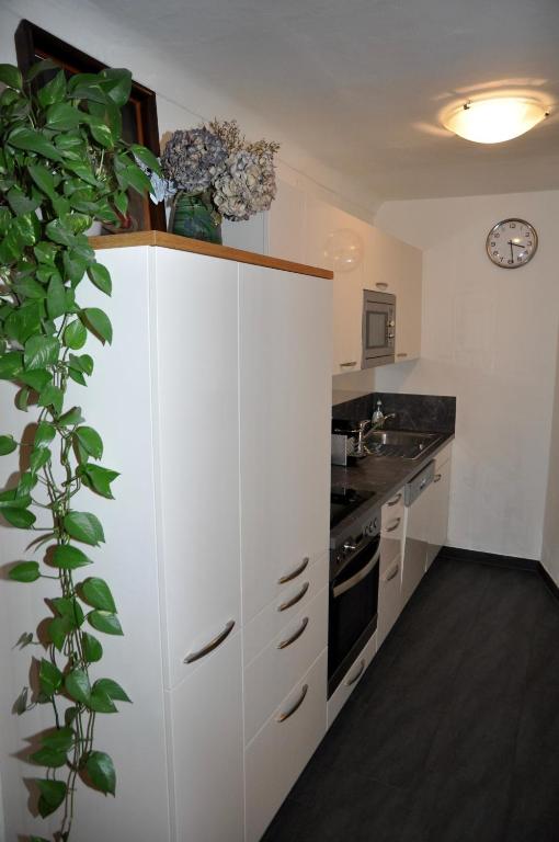 Kuchyňa alebo kuchynka v ubytovaní Apartment Ischl Home
