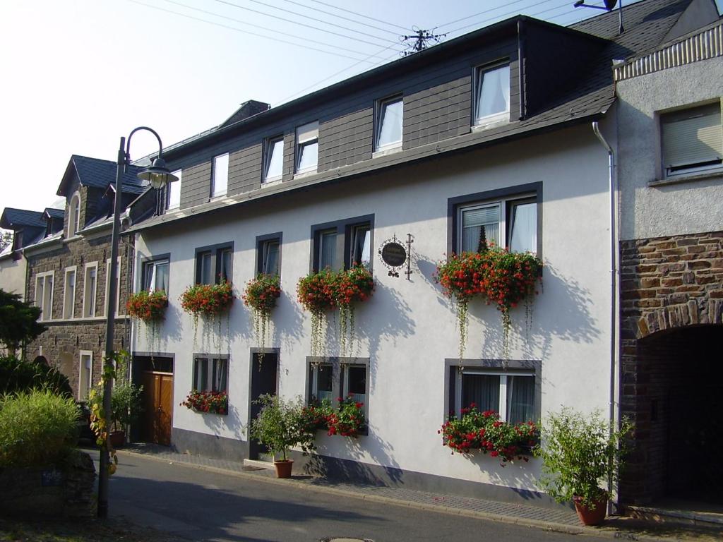 a white building with flower boxes on the windows at Ferienwohnungen Mentges in Mesenich
