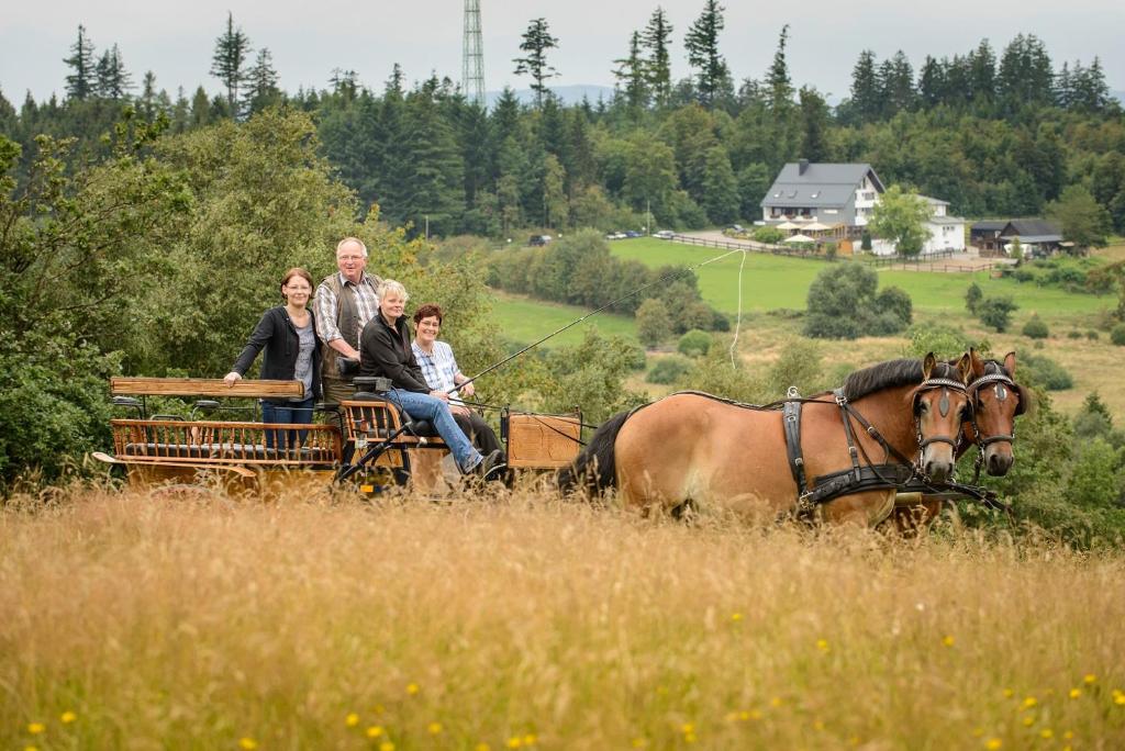 Hosté ubytování Ginsberger Heide
