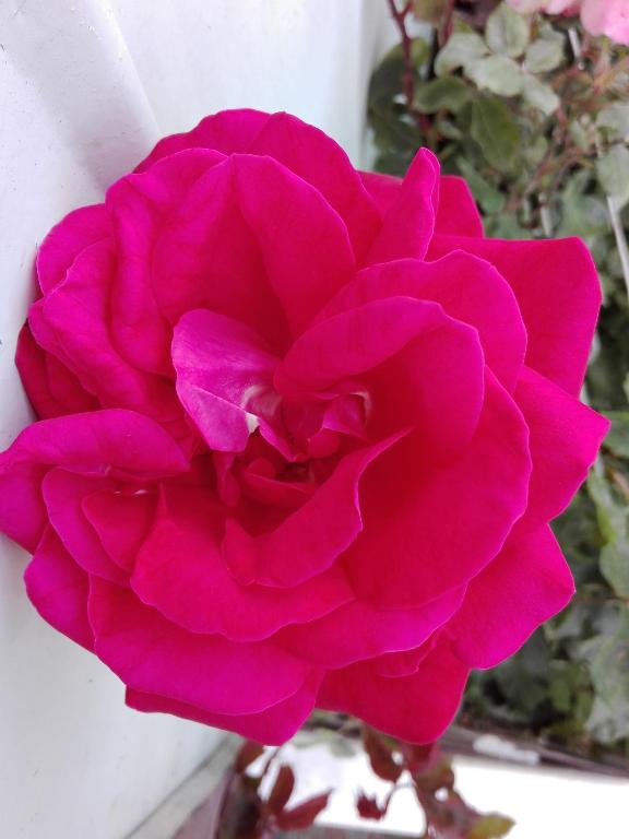 Fotografie z fotogalerie ubytování Cabañas Campestres Las Rosas v destinaci Punta Arenas