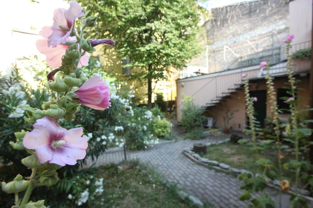 a garden with pink flowers and a pathway at La Corte del Pratello in Bologna