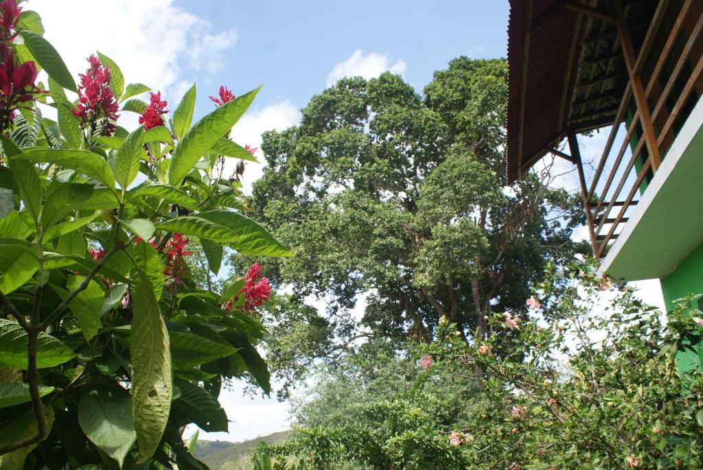  Pousada Recanto Verde