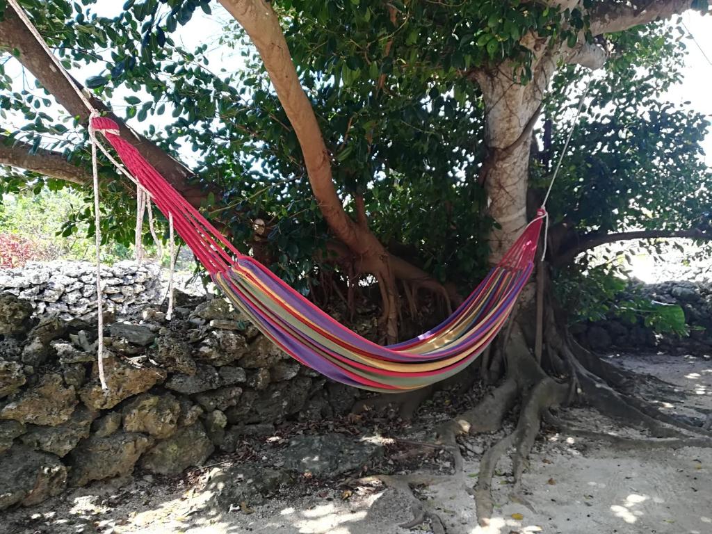 a hammock hanging from a tree at Taketomijima Guesthouse and je Taime in Taketomi