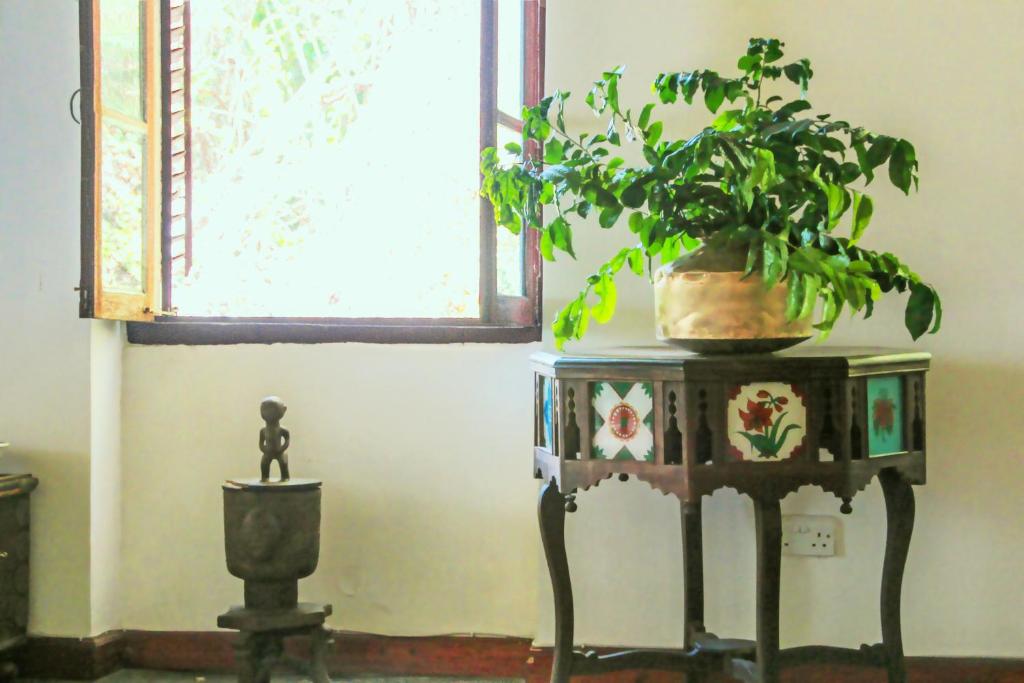 Fotografie z fotogalerie ubytování Hiliki House v destinaci Zanzibar City
