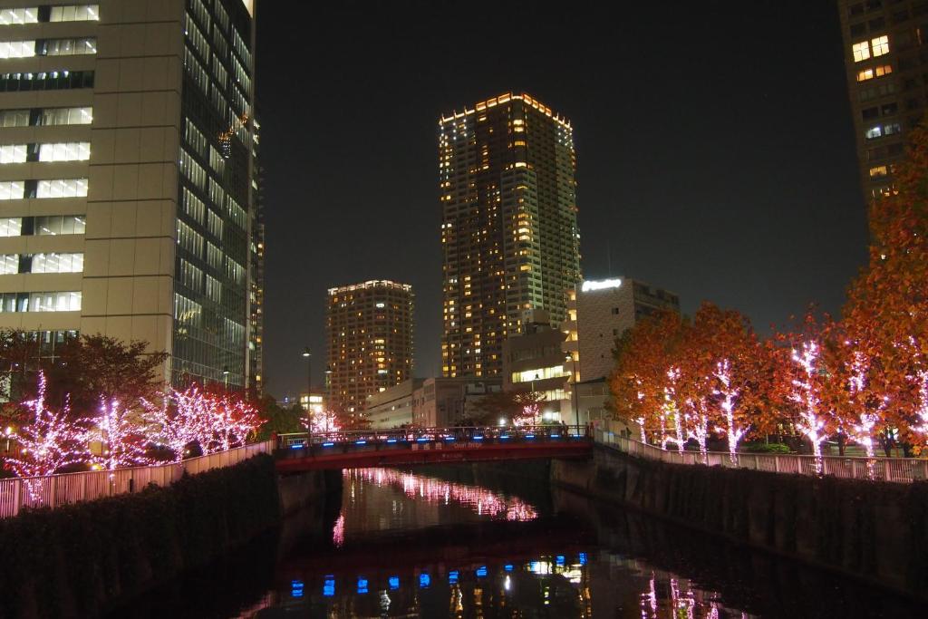 a city lit up at night with christmas lights at New Otani Inn Tokyo in Tokyo