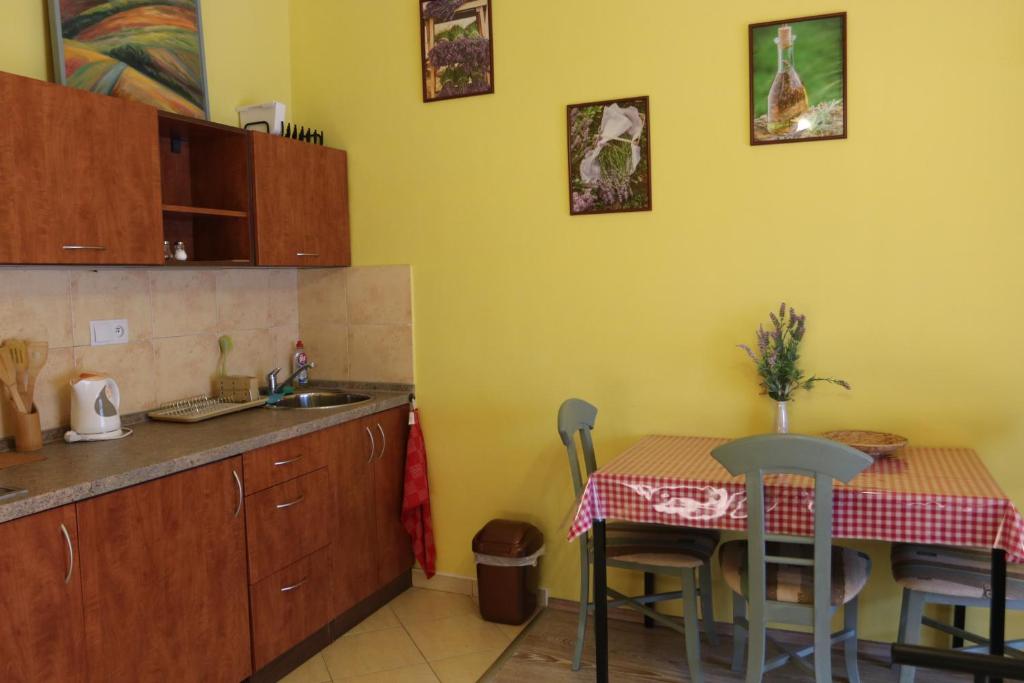 Kuchyň nebo kuchyňský kout v ubytování Apartmán Beta Podhájska