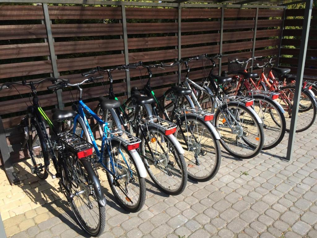Jazda na bicykli v okolí ubytovania Royal Park Hotel & Spa