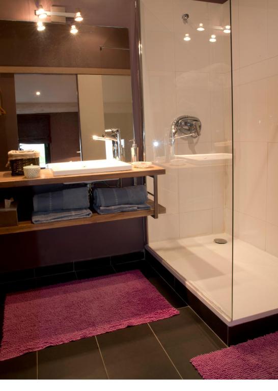 a bathroom with a shower and a sink and a mirror at Les Chambres de l'Abbaye in Marseille