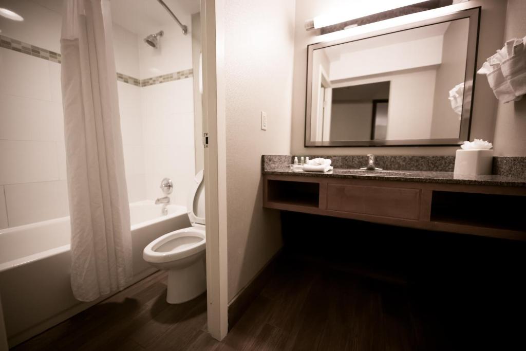 Holiday Inn Raleigh Downtown, an IHG Hotel - Standaardruimte