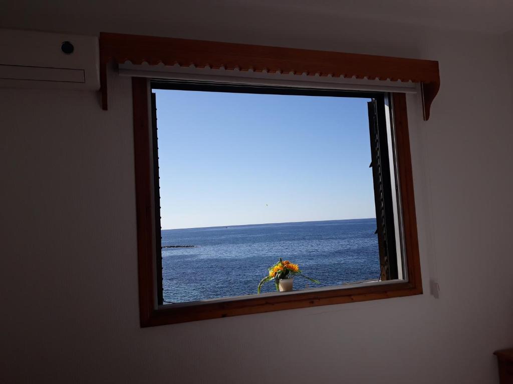 Příroda nedaleko penzionu