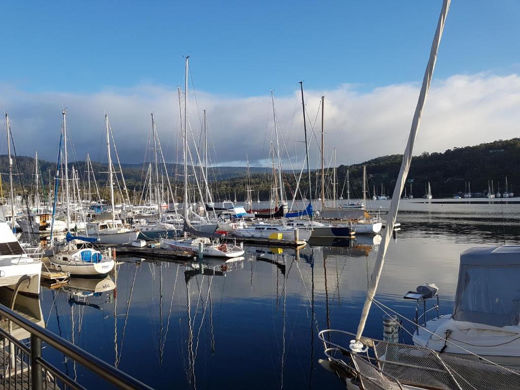 Un montón de barcos están atracados en un puerto deportivo. en Oyster Cove Chalet, en Kettering