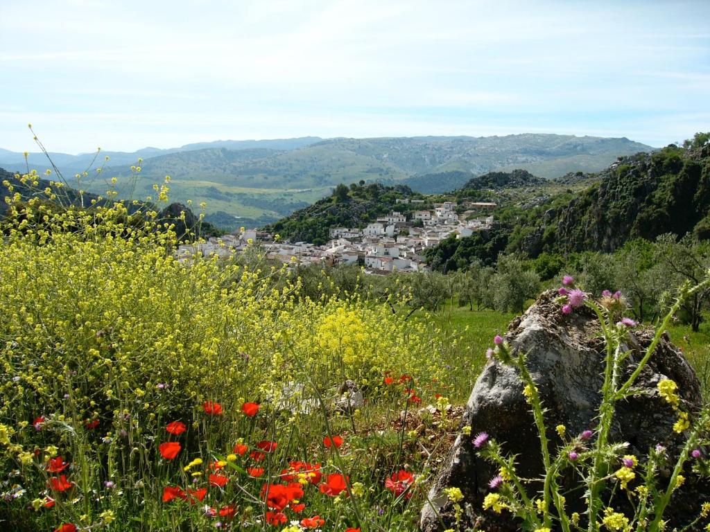 Fotografie z fotogalerie ubytování Puerta Verde v destinaci Montejaque