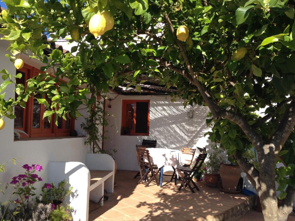 モンテハケにあるPuerta Grandeの家の前のレモンの木があるパティオ