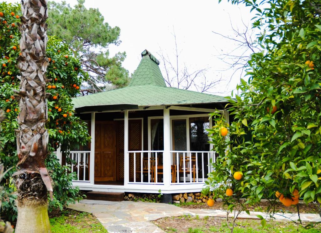 a small gazebo in the middle of an orange tree at Arcadia Hotel in Cıralı