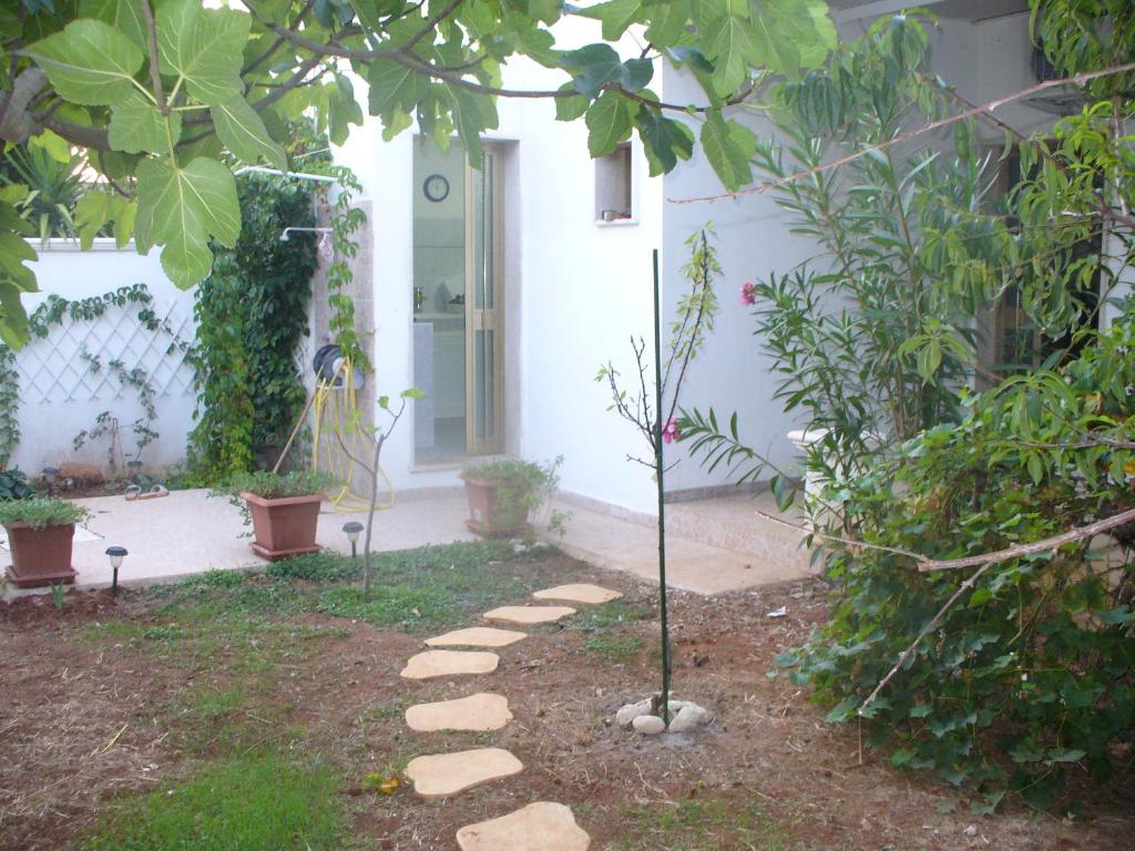 un jardin avec deux arbres devant une maison dans l'établissement Villetta con giardino, à San Pietro in Bevagna