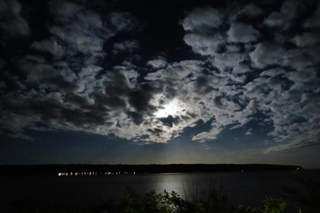 Příroda nedaleko motelu