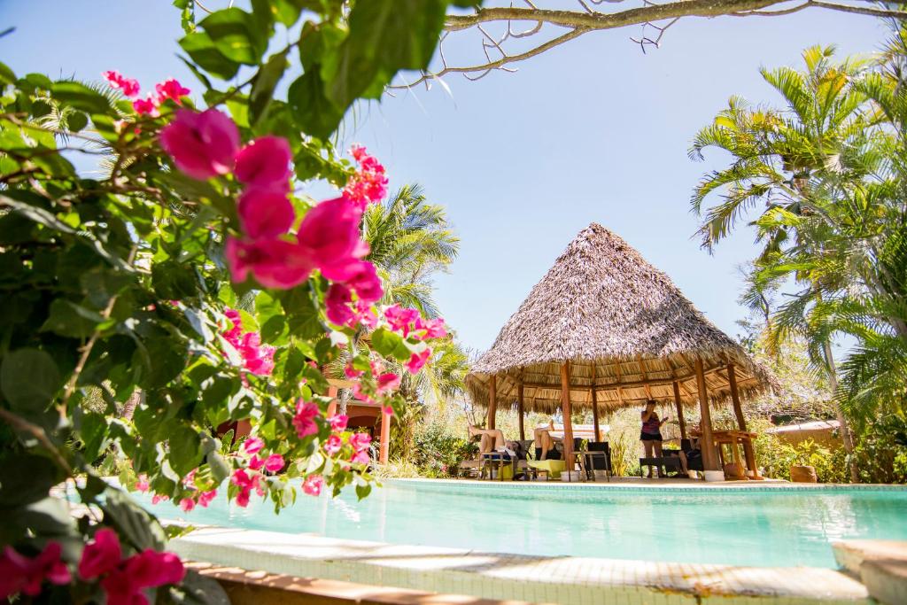 a beach with palm trees and palm trees at Hotel Cantarana in Playa Grande
