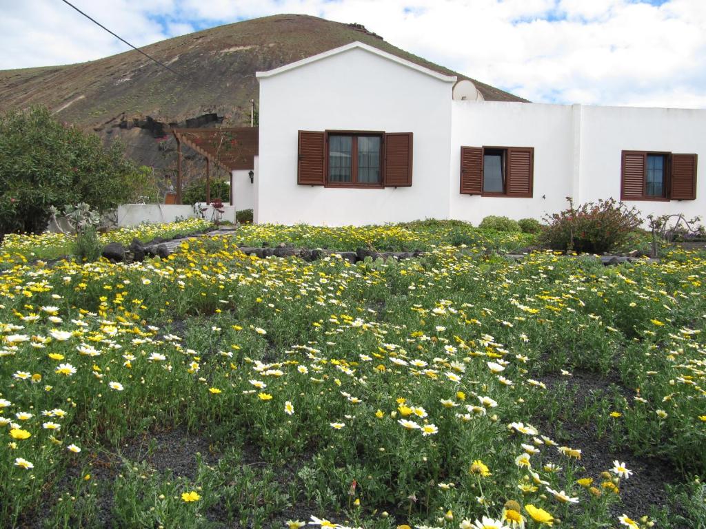 un campo de flores frente a una casa en Casa Montaña de Tahiche, en Tahiche