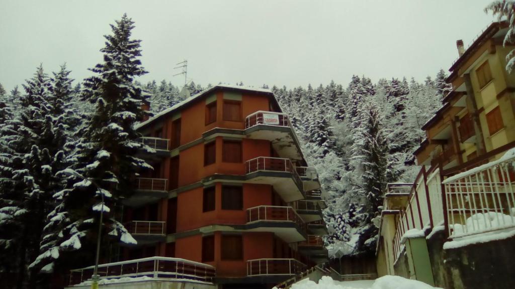 un edificio de apartamentos con árboles en la nieve en Tra sogni e realtà Roccaraso, en Roccaraso