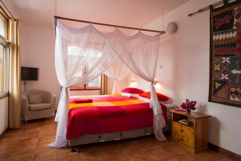 Q-Bar & Guesthouse - 