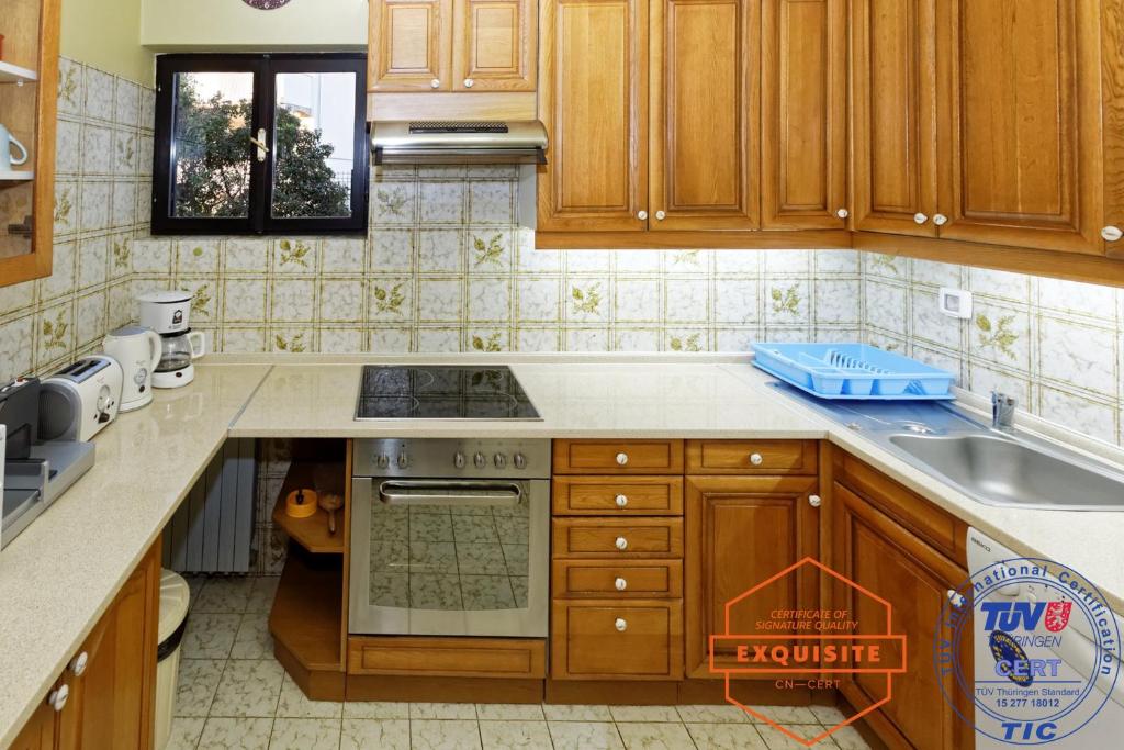 Kuchyň nebo kuchyňský kout v ubytování Villa Kovach