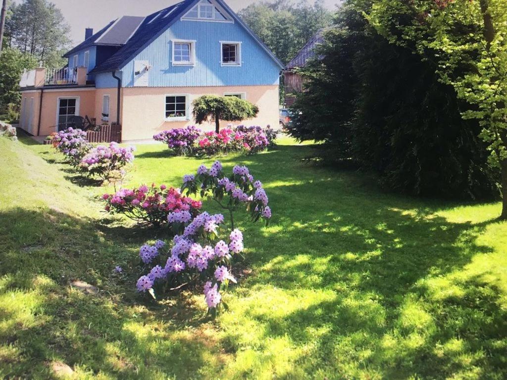 une maison avec des fleurs violettes dans la cour dans l'établissement Pension Schmidt, à Bad Brambach