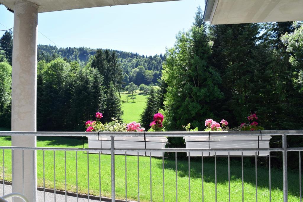 einen Balkon mit Blumen auf einem Zaun in der Unterkunft Ferienwohnung im Dettenbachtal in Waldkirch