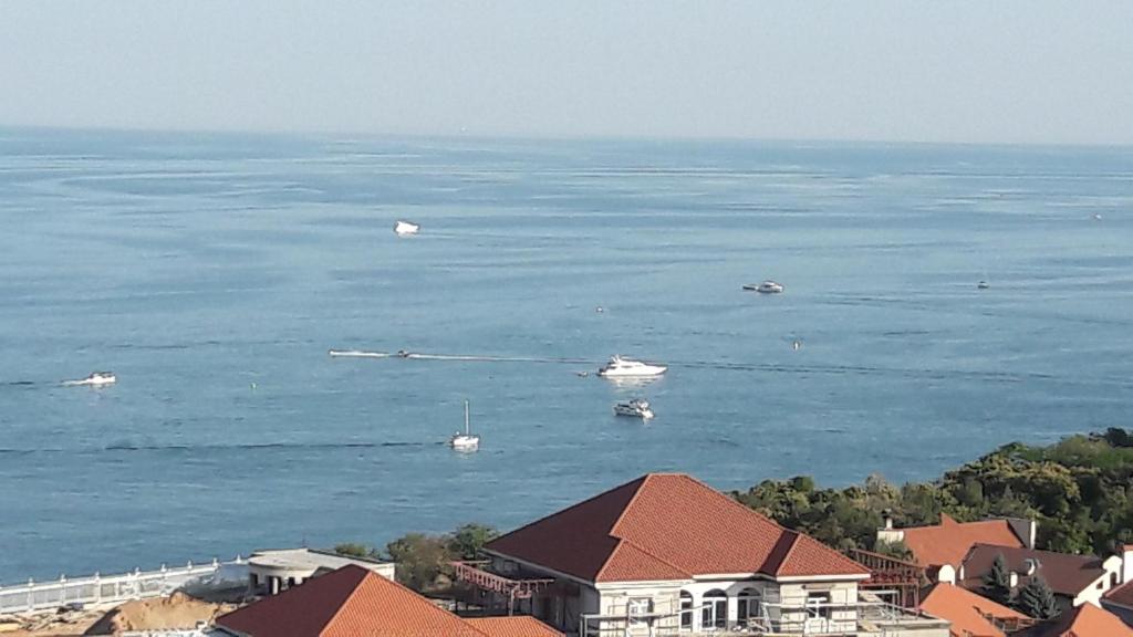 Naturlandskabet i nærheden af lejligheden