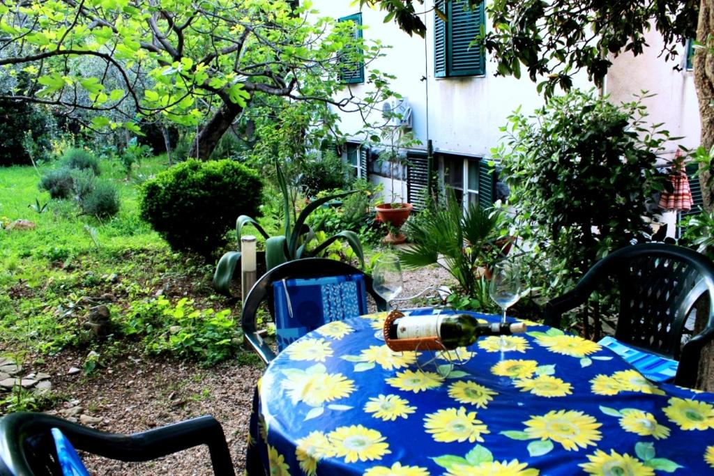Zahrada ubytování Guest house with garden - Zuvan