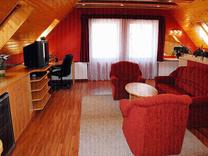 TV a/nebo společenská místnost v ubytování Platán Panzió