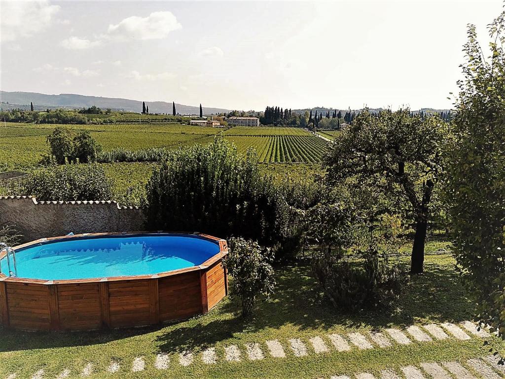 a hot tub in the middle of a field at Agriturismo El Crear in San Pietro in Cariano