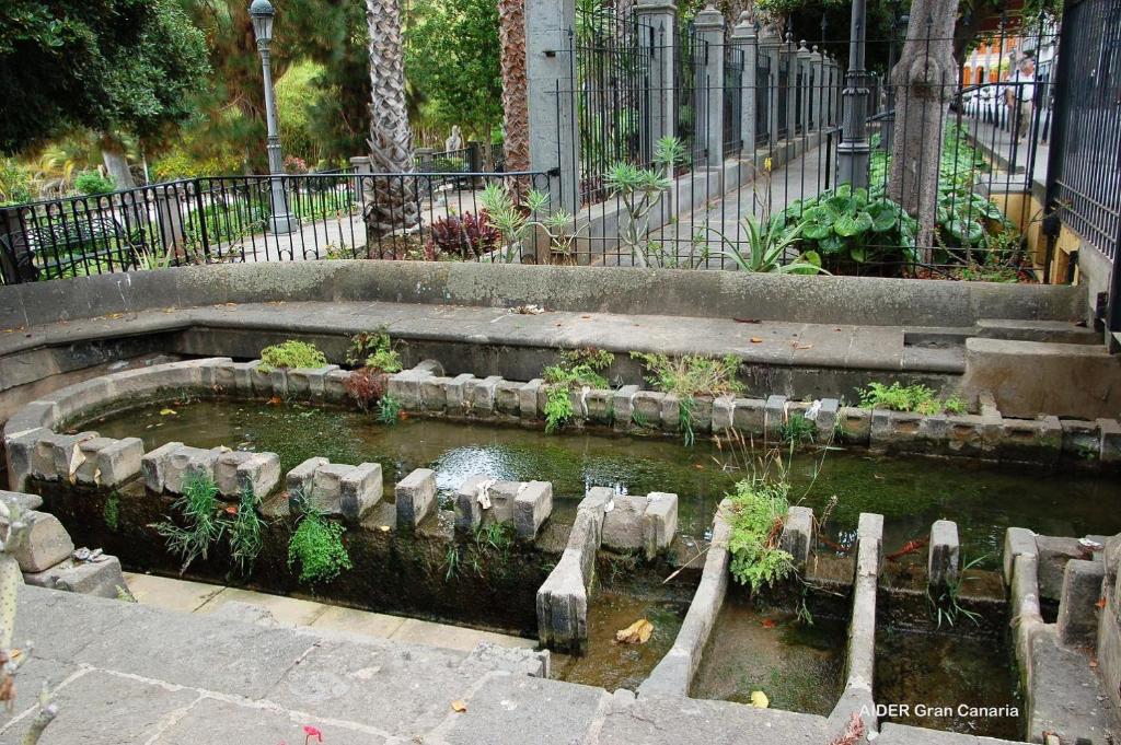 A garden outside Casa La Dama de Arucas