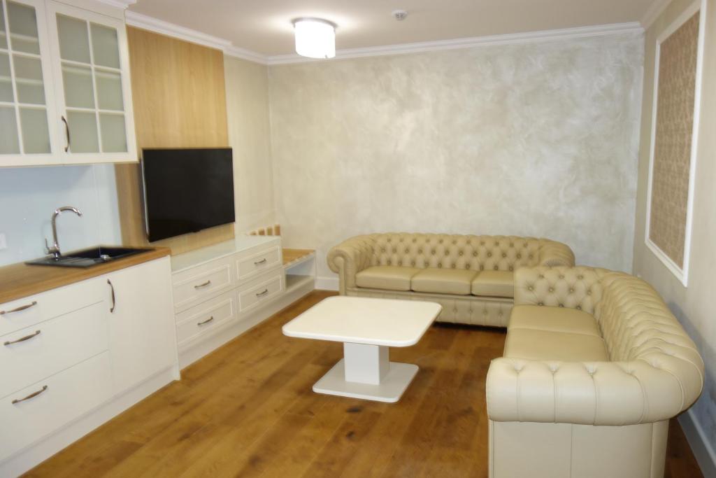 Kuchyň nebo kuchyňský kout v ubytování Wellness Hotel Republika 24 Apartments