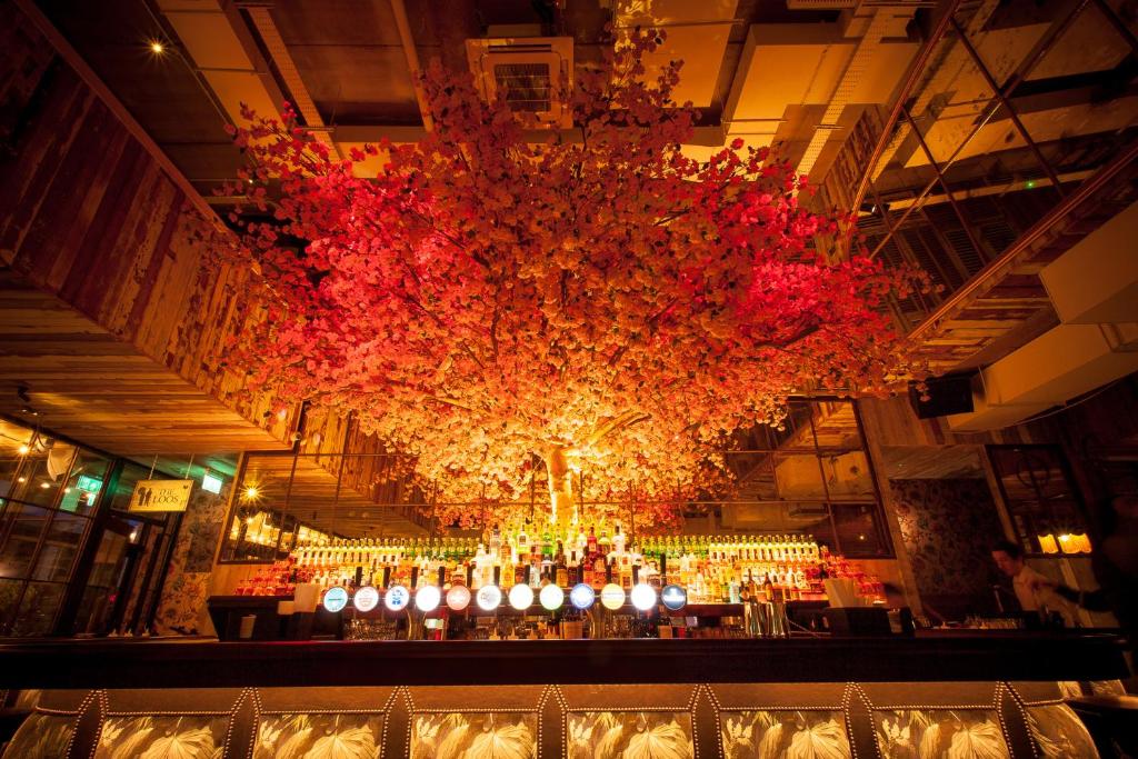 House Belfast Hotel - Resim 13