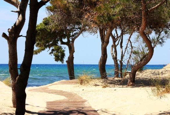
a sandy beach with trees and palm trees at Trilocale Rivabella in Gallipoli
