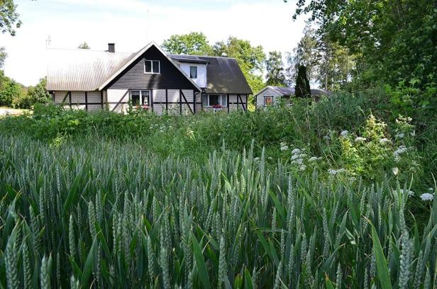 Zahrada ubytování Smedsgården