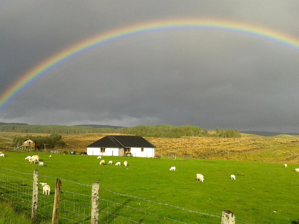 a rainbow over a field with sheep in a field at House on the Falls in Portree