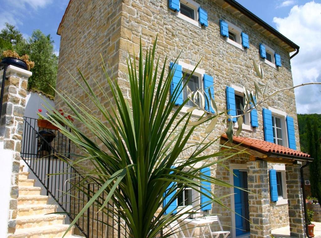 a stone house with blue windows and a plant at Villa Kentic in Buzet